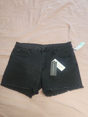 Stitch Fix Just Black Frayed Denim Shorts